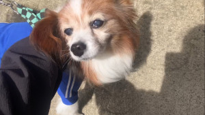 写真 2026-04-26 8 55 34 (2)