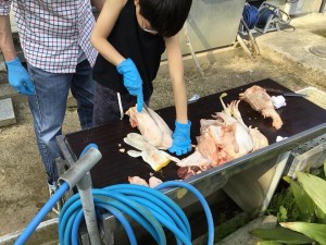 201804鶏解体