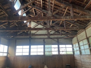 IMG_0559