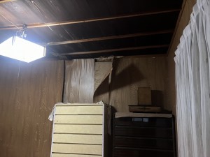 IMG_0576