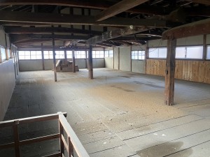 IMG_0582