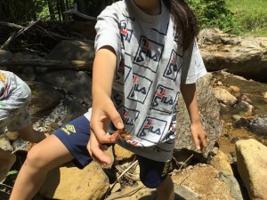 IMG_0709
