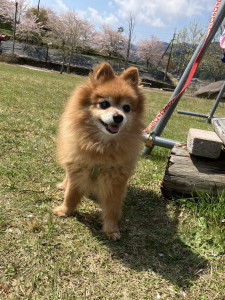写真 2025-04-23 13 24 00 (1)