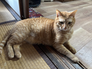 写真 2025-05-03 17 05 17