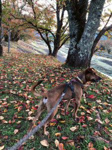 写真 2025-11-09 16 04 00 (1)