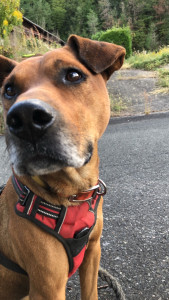 写真 2025-11-09 16 04 00