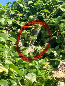 写真 2025-11-11 14 00 33