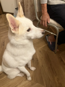 写真 2025-11-16 17 53 14 (2)