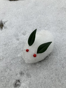 写真 2026-01-07 14 48 17 (1)