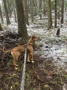 写真 2026-01-07 14 48 17