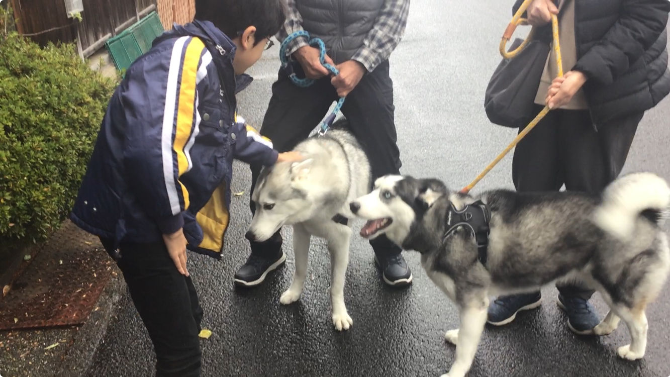 おきゃくわんの写真43