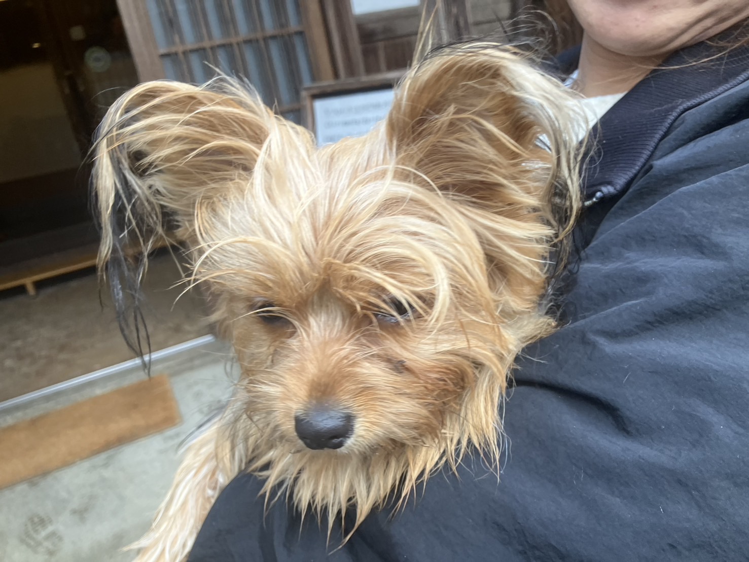 おきゃくわんの写真44