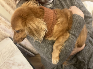 写真 2026-03-27 16 14 50 (1)