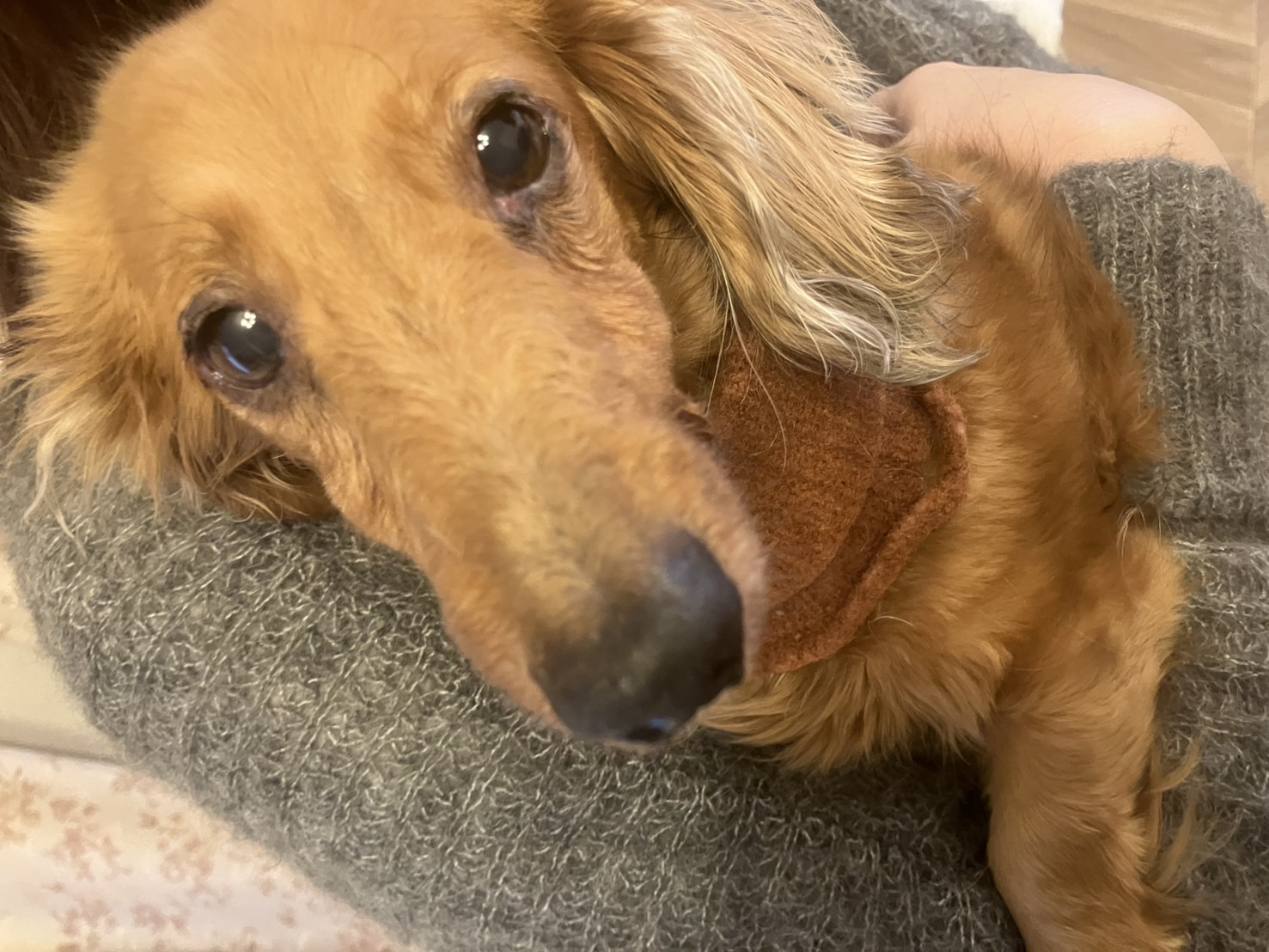 おきゃくわんの写真45