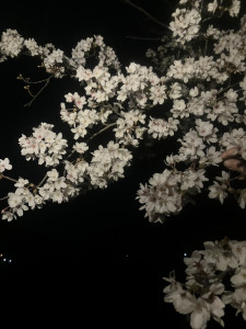 写真 2026-04-04 23 10 21 (2)