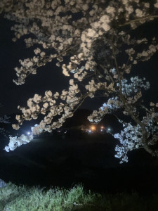 写真 2026-04-04 23 10 21