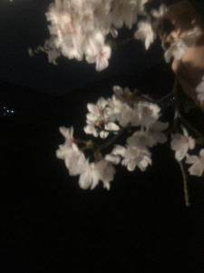 写真 2026-04-04 23 10 21 (3) (1)