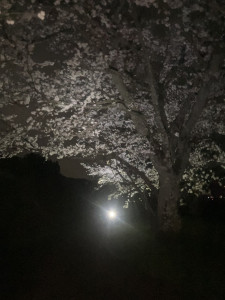 写真 2026-04-04 23 10 21 (3)