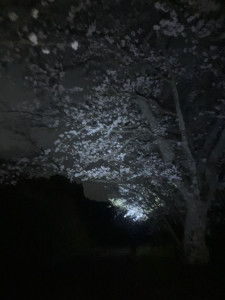 写真 2026-04-04 23 10 21 (5)