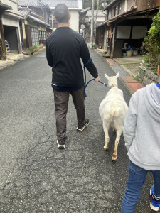 写真 2026-04-14 11 47 24 (1)