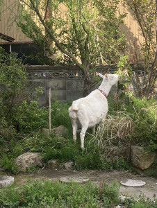 写真 2026-04-14 11 47 24 (4)