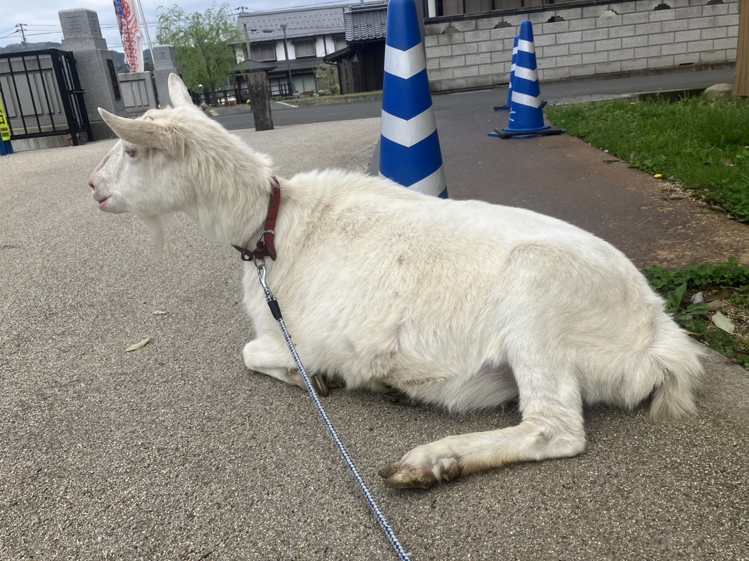 2026・GW前の「じゃらんのお得な10日間」開催中！