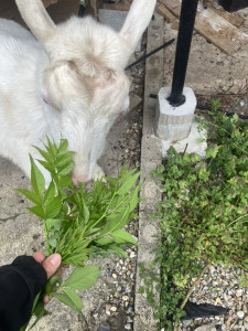 写真 2026-04-20 12 49 43