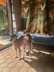 写真 2026-04-26 8 55 34 (1) (1) (1)