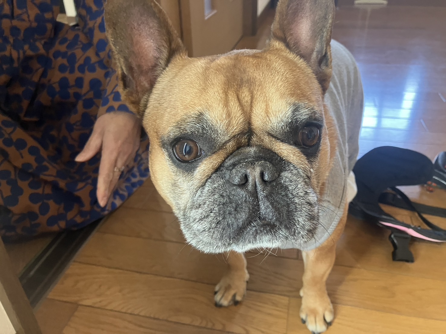 おきゃくわんの写真46