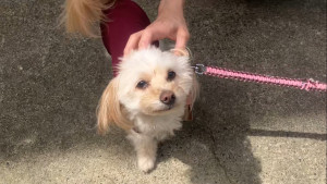 写真 2026-04-26 8 55 34 (1)