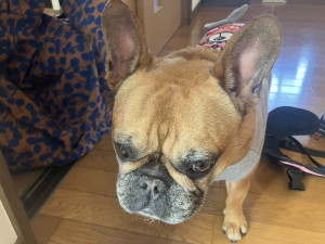 写真 2026-04-26 8 55 34