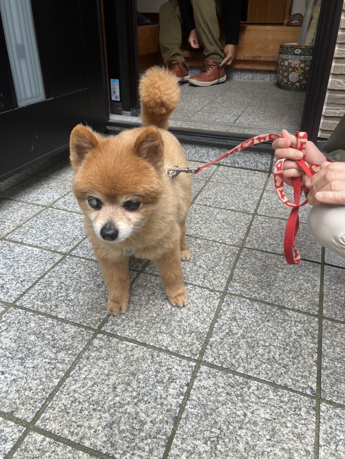 おきゃくわんの写真47