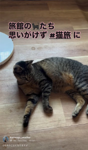 写真 2026-07-05 16 10 13 (1)