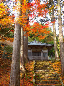 施薬寺の紅葉(守屋明俊）